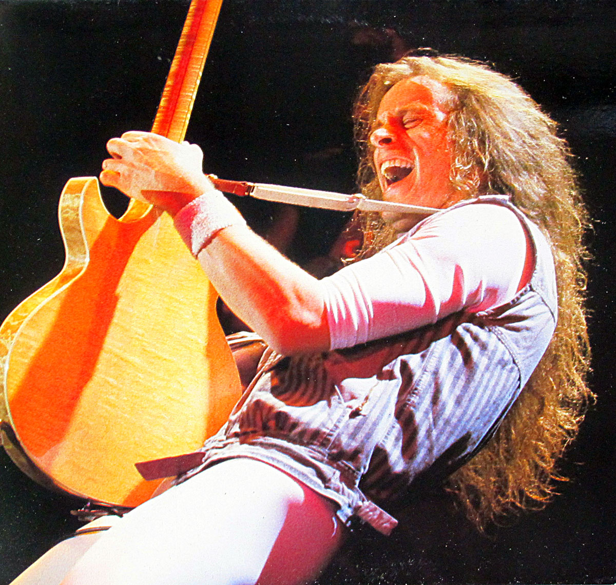 High Resolution Photos of ted nugent anthology orig uk 